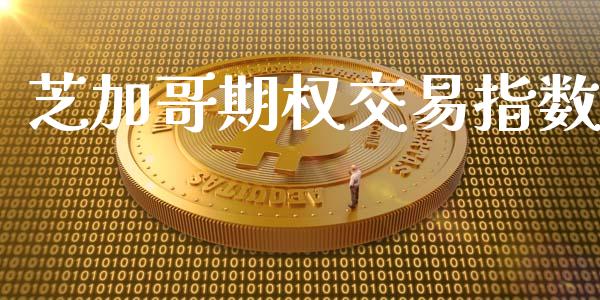 芝加哥期权交易指数_https://www.gongyisiwang.com_期货公司手续费排名_第1张