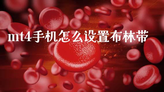 mt4手机怎么设置布林带_https://www.gongyisiwang.com_期货公司手续费排名_第1张