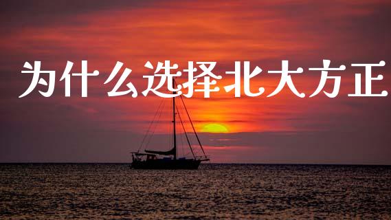 为什么选择北大方正_https://www.gongyisiwang.com_股指期货交易手续费_第1张