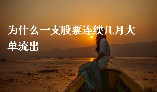 为什么一支股票连续几月大单流出_https://www.gongyisiwang.com_广发期货手续费_第1张