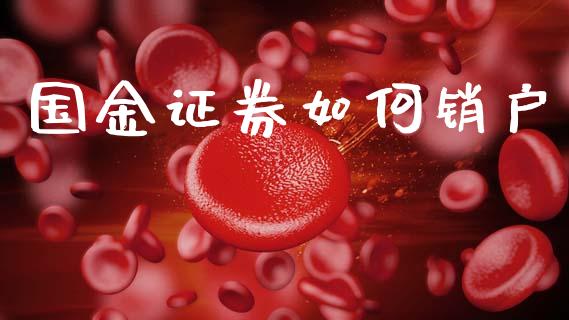 国金证券如何销户_https://www.gongyisiwang.com_焦炭期货手续费_第1张