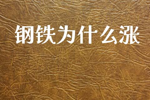 钢铁为什么涨_https://www.gongyisiwang.com_广发期货手续费_第1张
