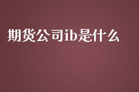 期货公司ib是什么_https://www.gongyisiwang.com_股指期货交易手续费_第1张