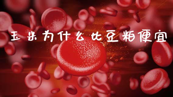 玉米为什么比豆粕便宜_https://www.gongyisiwang.com_原油期货_第1张