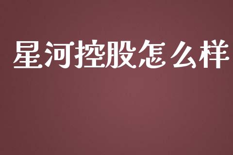 星河控股怎么样_https://www.gongyisiwang.com_期货公司手续费排名_第1张
