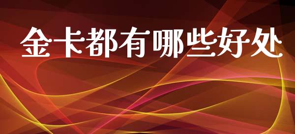 金卡都有哪些好处_https://www.gongyisiwang.com_股指期货交易手续费_第1张