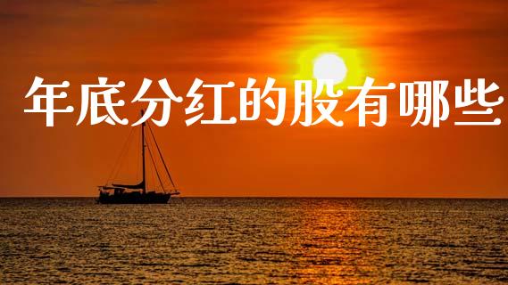 年底分红的股有哪些_https://www.gongyisiwang.com_期货公司手续费排名_第1张