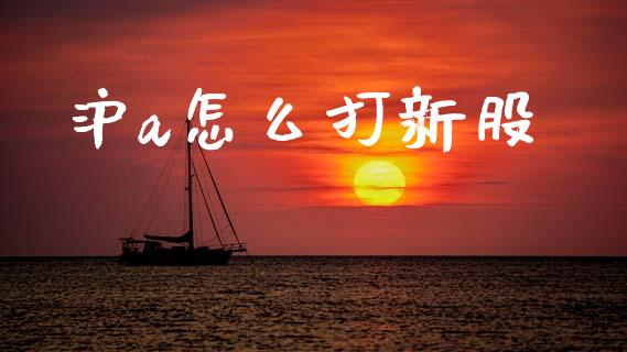 沪a怎么打新股_https://www.gongyisiwang.com_期货公司手续费排名_第1张