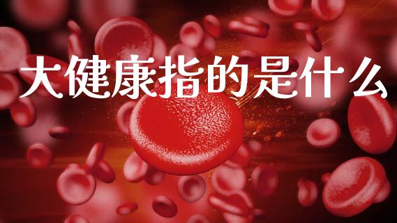 大健康指的是什么_https://www.gongyisiwang.com_股指期货_第1张