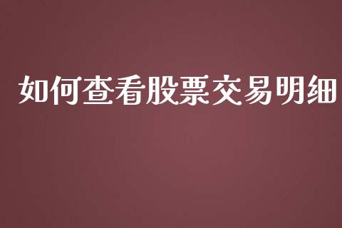 如何查看股票交易明细_https://www.gongyisiwang.com_广发期货手续费_第1张