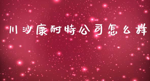 川沙康耐特公司怎么样_https://www.gongyisiwang.com_道指_第1张