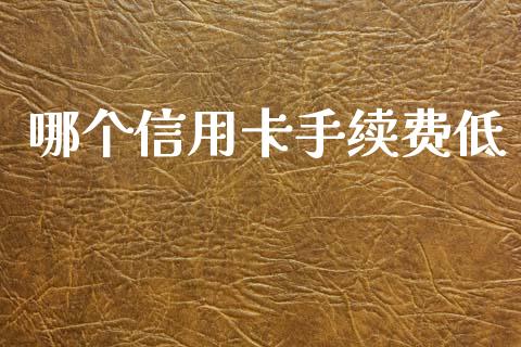 哪个信用卡手续费低_https://www.gongyisiwang.com_广发期货手续费_第1张