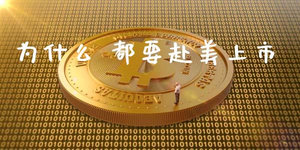 为什么 都要赴美上市_https://www.gongyisiwang.com_股指期货_第1张