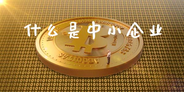 什么是中小企业_https://www.gongyisiwang.com_股指期货_第1张
