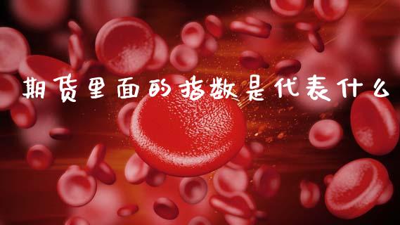 期货里面的指数是代表什么_https://www.gongyisiwang.com_原油期货_第1张