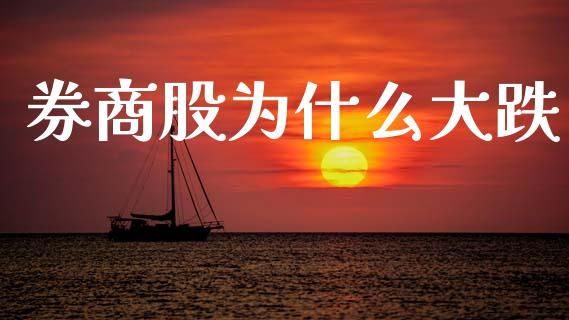 券商股为什么大跌_https://www.gongyisiwang.com_焦炭期货手续费_第1张