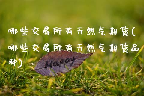 哪些交易所有天然气期货(哪些交易所有天然气期货品种)_https://www.gongyisiwang.com_期货公司手续费排名_第1张