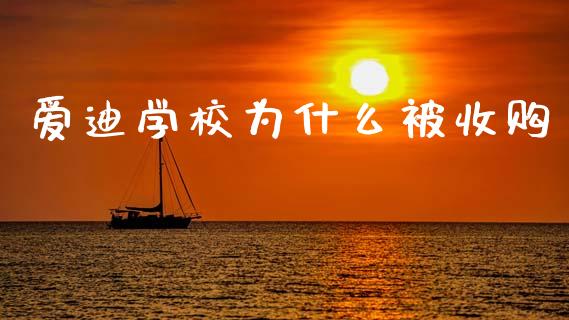 爱迪学校为什么被收购_https://www.gongyisiwang.com_股指期货交易手续费_第1张