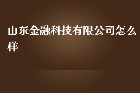 山东金融科技有限公司怎么样_https://www.gongyisiwang.com_期货公司手续费排名_第1张