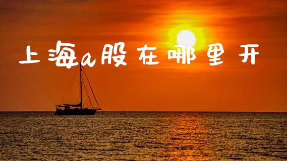 上海a股在哪里开_https://www.gongyisiwang.com_期货公司手续费排名_第1张