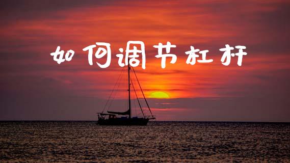 如何调节杠杆_https://www.gongyisiwang.com_焦炭期货手续费_第1张