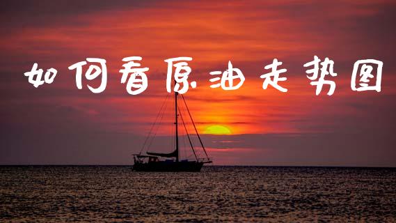 如何看原油走势图_https://www.gongyisiwang.com_广发期货手续费_第1张