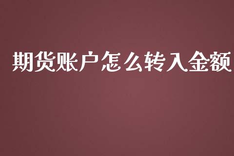 期货账户怎么转入金额_https://www.gongyisiwang.com_股指期货交易手续费_第1张