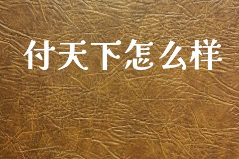付天下怎么样_https://www.gongyisiwang.com_道指_第1张