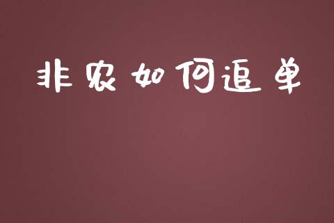 非农如何追单_https://www.gongyisiwang.com_股指期货_第1张