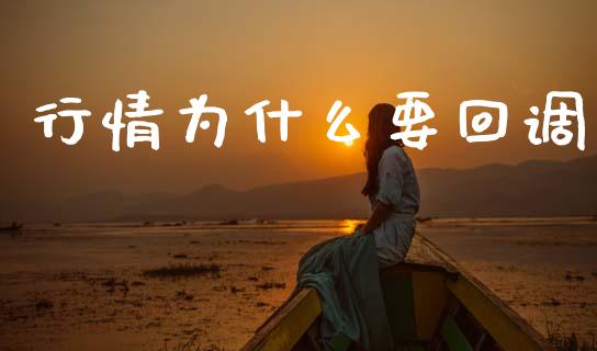 行情为什么要回调_https://www.gongyisiwang.com_股指期货_第1张