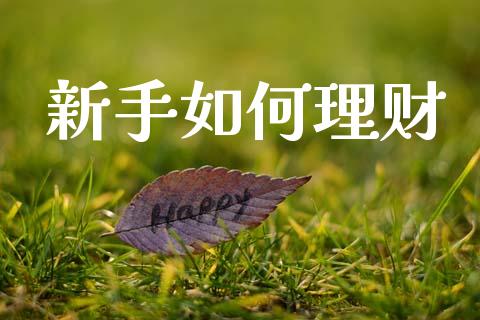 新手如何理财_https://www.gongyisiwang.com_广发期货手续费_第1张