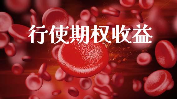行使期权收益_https://www.gongyisiwang.com_股指期货_第1张