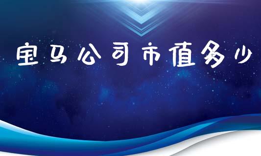 宝马公司市值多少_https://www.gongyisiwang.com_焦炭期货手续费_第1张
