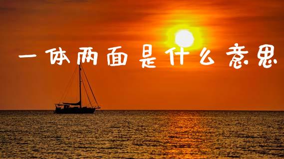 一体两面是什么意思_https://www.gongyisiwang.com_恒指期货_第1张