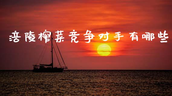 涪陵榨菜竞争对手有哪些_https://www.gongyisiwang.com_焦炭期货手续费_第1张