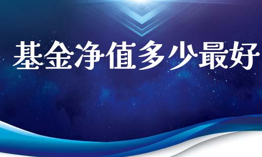 基金净值多少最好_https://www.gongyisiwang.com_焦炭期货手续费_第1张