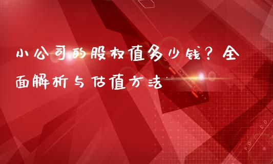 小公司的股权值多少钱？全面解析与估值方法_https://www.gongyisiwang.com_期货公司手续费排名_第1张