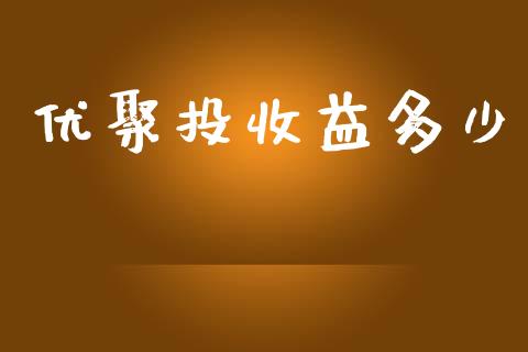 优聚投收益多少_https://www.gongyisiwang.com_期货公司手续费排名_第1张