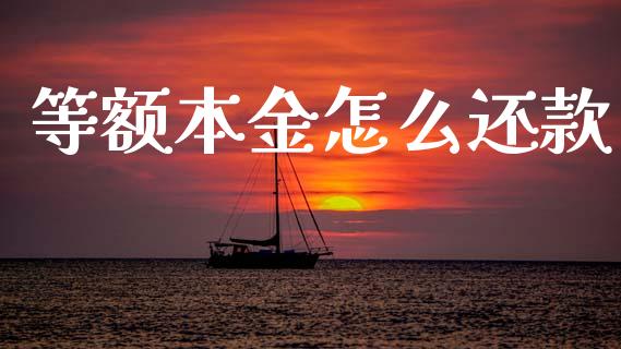 等额本金怎么还款_https://www.gongyisiwang.com_股指期货交易手续费_第1张