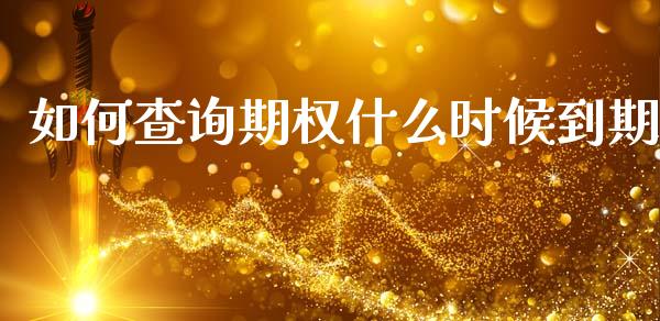如何查询期权什么时候到期_https://www.gongyisiwang.com_股指期货交易手续费_第1张
