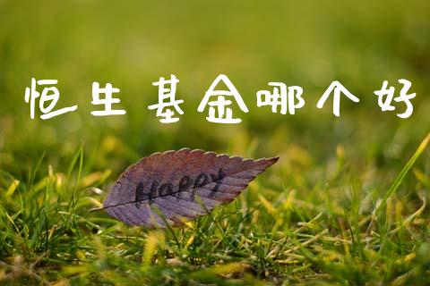 恒生基金哪个好_https://www.gongyisiwang.com_道指_第1张