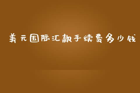 美元国际汇款手续费多少钱_https://www.gongyisiwang.com_期货公司手续费排名_第1张