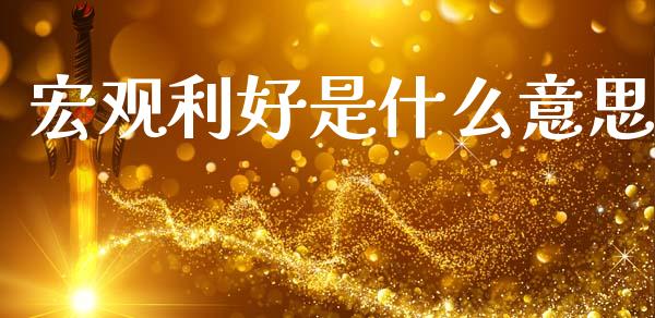 宏观利好是什么意思_https://www.gongyisiwang.com_广发期货手续费_第1张