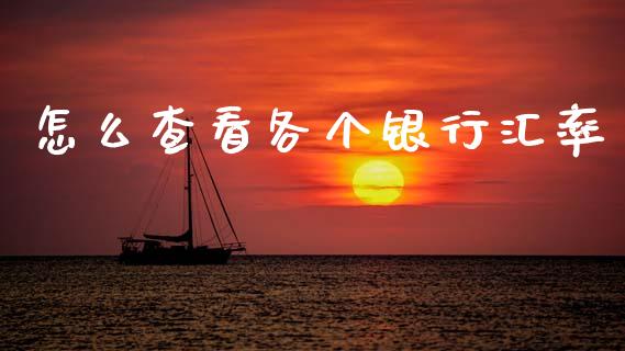 怎么查看各个银行汇率_https://www.gongyisiwang.com_广发期货手续费_第1张