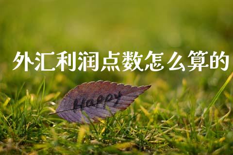 外汇利润点数怎么算的_https://www.gongyisiwang.com_恒指期货_第1张