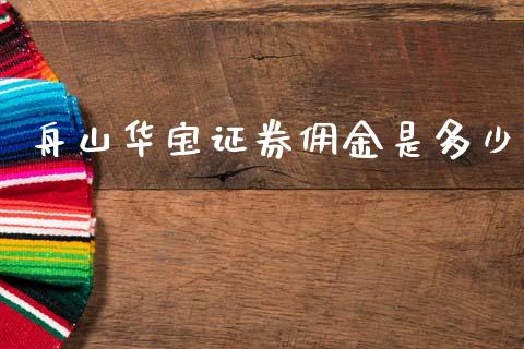 舟山华宝证券佣金是多少_https://www.gongyisiwang.com_股指期货交易手续费_第1张