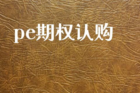 pe期权认购_https://www.gongyisiwang.com_原油期货_第1张