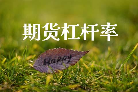 期货杠杆率_https://www.gongyisiwang.com_广发期货手续费_第1张