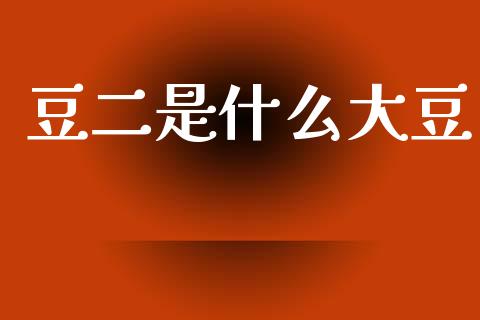豆二是什么大豆_https://www.gongyisiwang.com_期货公司手续费排名_第1张