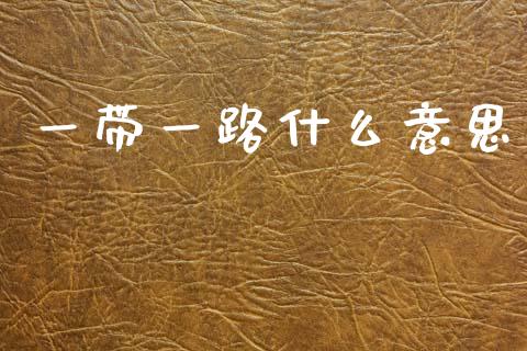 一带一路什么意思_https://www.gongyisiwang.com_原油期货_第1张